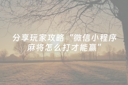 玩家实测“微乐跑得快外挂插件是真的吗（助赢神器通用版）