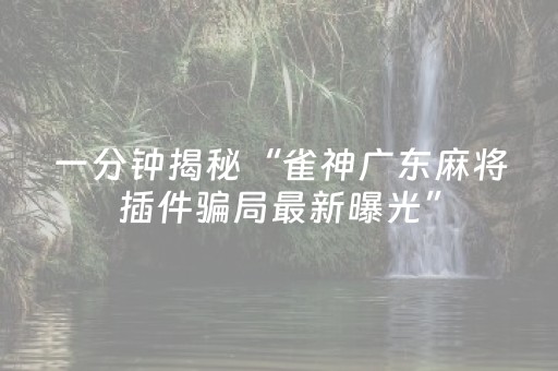玩家实测“雀神小程序app”（详细透视教程）-哔哩哔哩