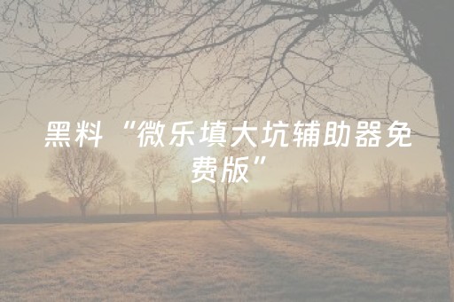 黑料“微乐填大坑辅助器免费版”（插件开挂免费AI)