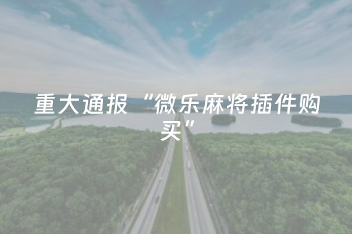 新版本“微乐山东麻将斗地主有挂吗”（详细透视教程）-哔哩哔哩
