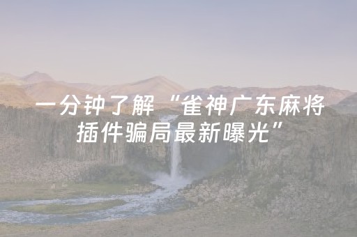我来教大家“微乐陕西麻将三代专用神器（助赢神器通用版）