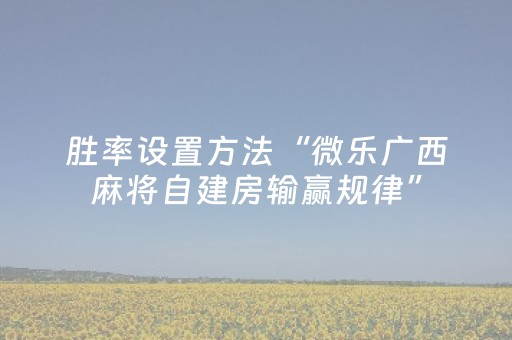 玩家必看攻略“麻将机程控器（助赢神器通用版）