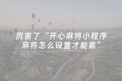 厉害了“开心麻将小程序麻将怎么设置才能赢”（赢的技巧规律)