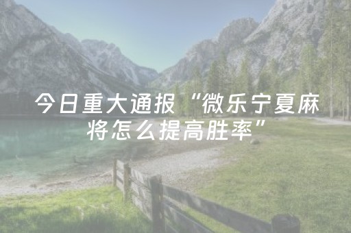 玩家实测“微乐辽宁麻将专用神器（专用辅牌神器免安装）