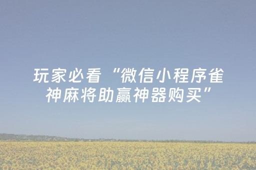 玩家必备教程“麻将机程序控牌器（专用辅牌神器免安装）