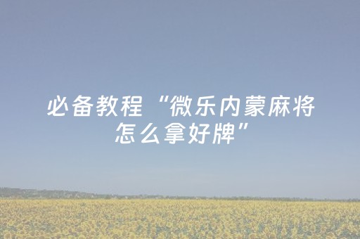 玩家必备教程“微信跑得快技巧必胜（专用辅牌神器免安装）