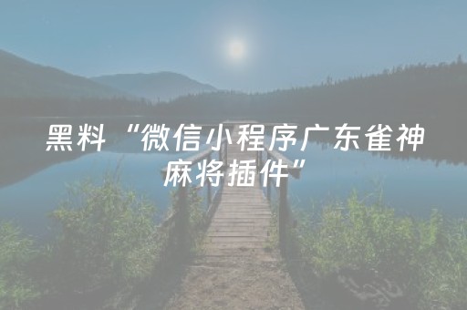 教程辅助“微信群红包扫雷控制软件神器”（详细透视教程）-哔哩哔哩