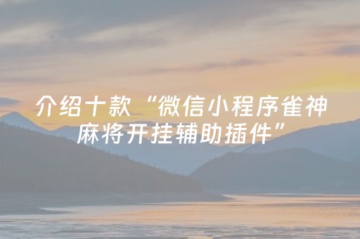 介绍十款“微信小程序雀神麻将开挂辅助插件”（充值会提高胜率么)