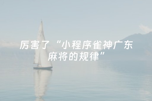 厉害了“小程序雀神广东麻将的规律”（有没有猫腻)