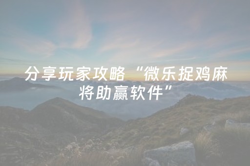 分享辅助“麻友圈2辅助工具”（详细透视教程）-哔哩哔哩
