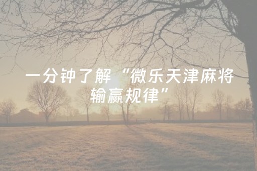 一分钟了解“微乐天津麻将输赢规律”（开挂辅助器插件)