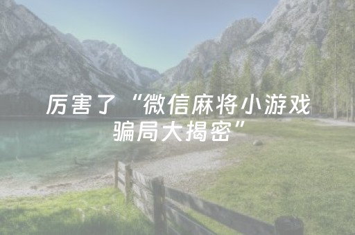 厉害了“微信麻将小游戏骗局大揭密”（插件可信吗)