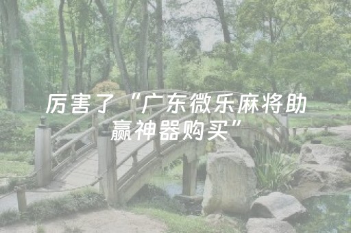厉害了“广东微乐麻将助赢神器购买”（软挂神器)