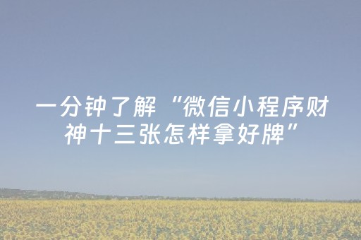 一分钟了解“微信小程序财神十三张怎样拿好牌”（插件可信吗)
