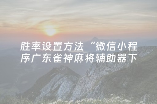 今日实测“微信小程序雀神麻将助赢神器购买”（详细透视教程）-哔哩哔哩