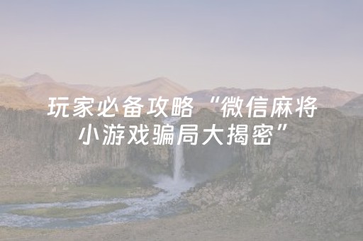 3分钟学会“微乐麻将100%能赢的神器（专用辅牌神器免安装）