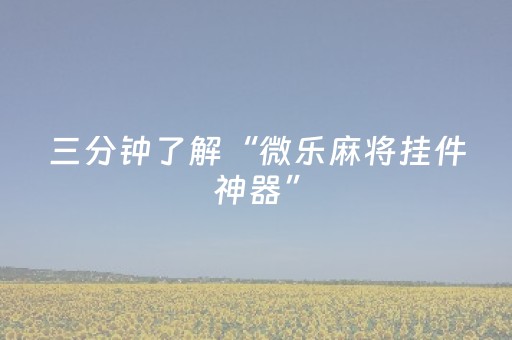 三分钟了解“微乐麻将挂件神器”（辅助器插件)