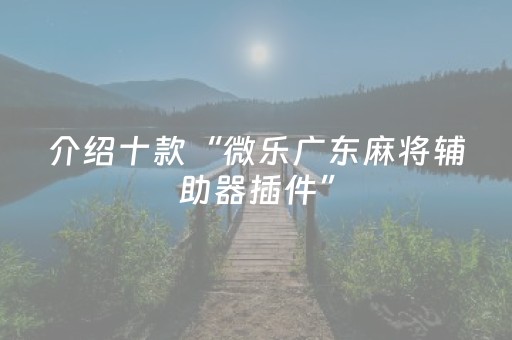 介绍十款“微乐广东麻将辅助器插件”（规律确实有挂)