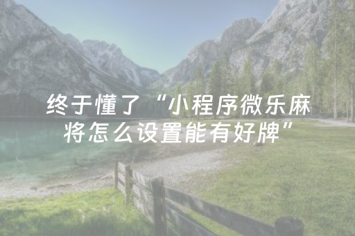 胜率设置方法“微乐插件胜率设置（专用辅牌神器免安装）