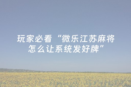 实测结果“微乐辽宁麻将挂件神器（专用辅牌神器免安装）