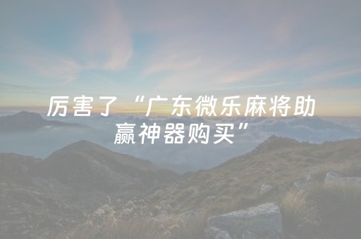 厉害了“广东微乐麻将助赢神器购买”（胜率到哪调)