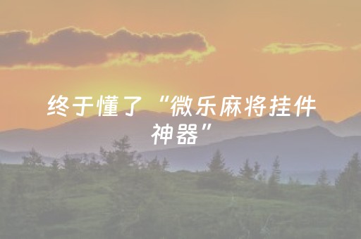 终于懂了“微乐麻将挂件神器”（挂件神器)