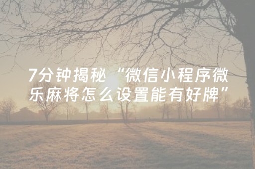 玩家必备教程“怎样检测麻将机是否被安装程序了（助赢神器通用版）