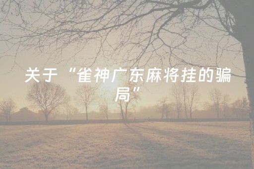关于“雀神广东麻将挂的骗局”（有没有猫腻)