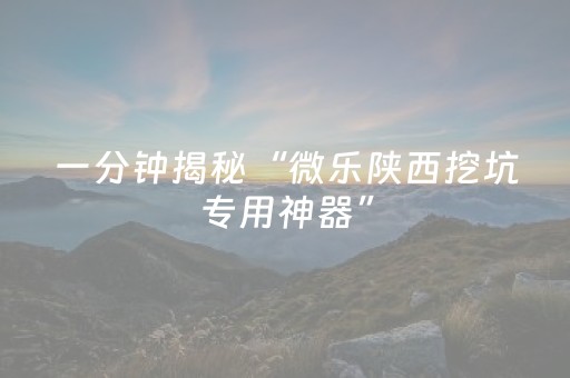 一分钟揭秘“微乐陕西挖坑专用神器”（提高胜率技巧)