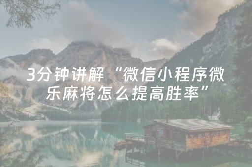 3分钟讲解“微信小程序微乐麻将怎么提高胜率”（透明器教程)