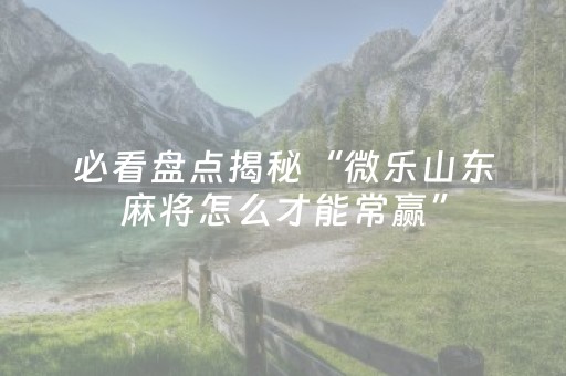 实测分享“九九山城麻将选牌器（助赢神器通用版）