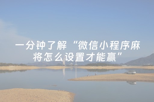 终于发现了“功夫川麻辅助器免费（专用辅牌神器免安装）