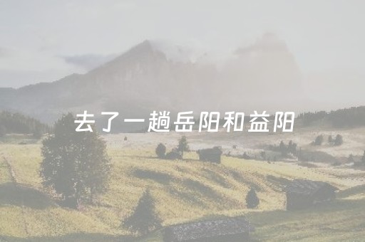 实测分享“微乐家乡麻将赢的攻略（专用辅牌神器免安装）