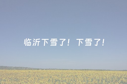 实测分享“中至打牌外挂怎么开（专用辅牌神器免安装）
