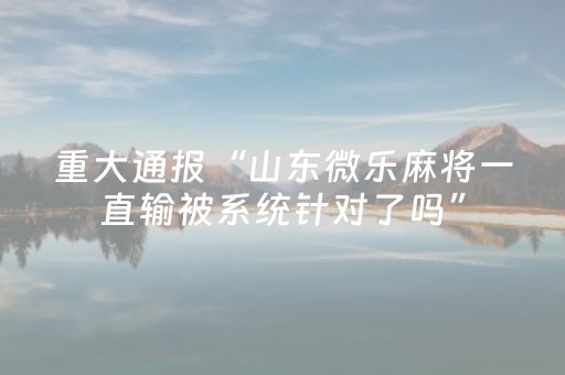 实测结果“手机十三水万能辅助器（专用辅牌神器免安装）