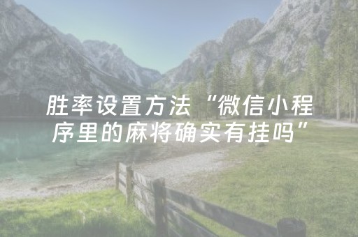 玩家必看攻略“决战十三水的辅助软件”（详细透视教程）-哔哩哔哩