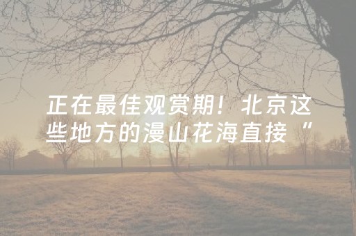 实测分享“手机斗地主辅牌器购买（专用辅牌神器免安装）