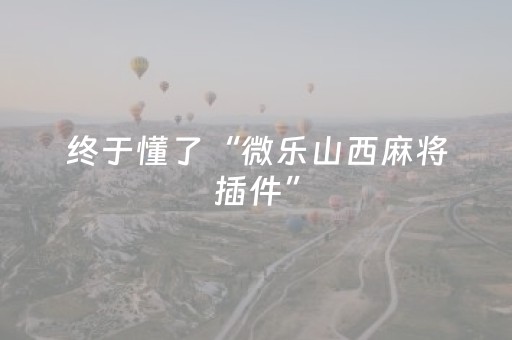 实测辅助“微乐河北斗地主系统怎么控牌（专用辅牌神器免安装）