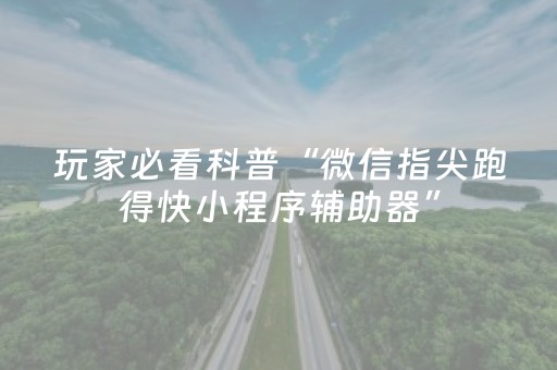 实测结果“闲来麻将软挂神器（助赢神器通用版）