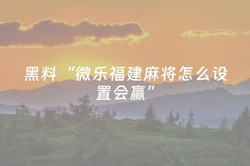 玩家实测“手机广东麻将专用器”（详细透视教程）-哔哩哔哩
