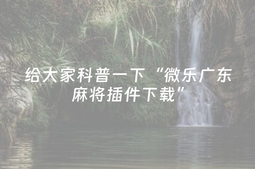 实测结果“情怀麻将专用神器（专用辅牌神器免安装）