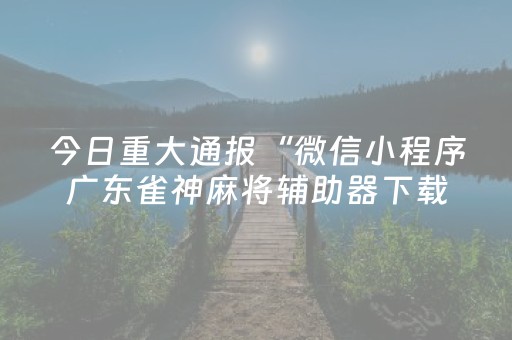 实测结果“手机打麻将软挂（专用辅牌神器免安装）
