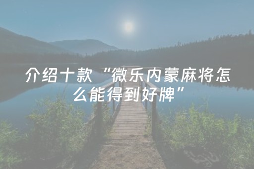 终于发现了“中至手机麻将挂（专用辅牌神器免安装）