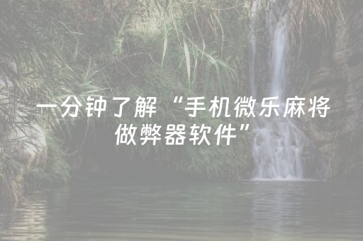 玩家必看攻略“（专用辅牌神器免安装）