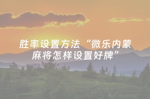 终于发现“哈灵杭州麻将技巧秘籍（专用辅牌神器免安装）