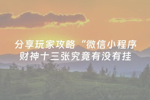 实测辅助“2018微信埋雷挂真的假的”（详细透视教程）-哔哩哔哩