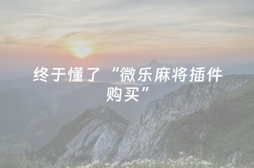 必看教程“微乐山西麻将免输神器下载”（详细透视教程）-哔哩哔哩