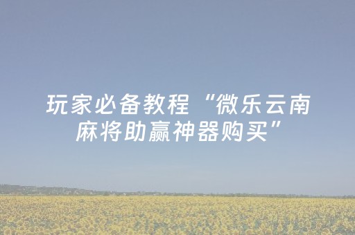 终于发现“微乐海南麻将神器软件下载（专用辅牌神器免安装）