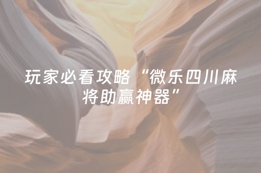 玩家必看攻略“微乐斗地主助赢神器购买（专用辅牌神器免安装）