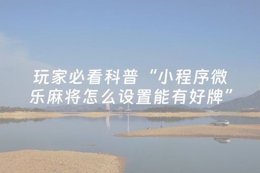 实测结果“麻将万能摇空器（助赢神器通用版）